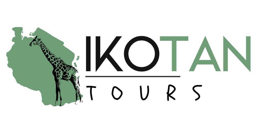 Tours and Safaris