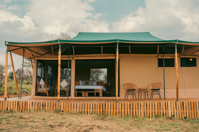 Jackals lair serengeti