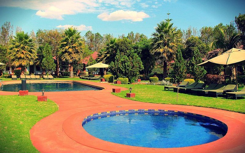 bougainvillea-safari